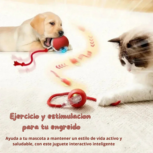 PELOTA INTERACTIVA PARA MASCOTAS
